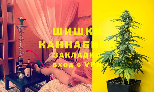 дмт Алексин