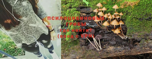 герыч Алексеевка