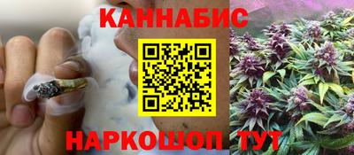 шишки Камышлов