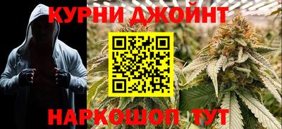 шишки Камышлов